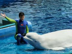 -福州罗源湾海洋世界旅游区