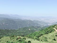 -大姆山草场