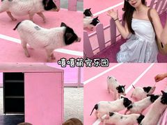 -渔岛海洋度假区