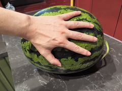 -炉中火延边朝鲜族烤串(开发区店)