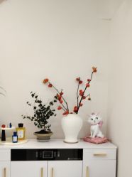 -WENDY·温迪皮肤管理