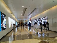 -大剧院(地铁站)