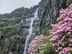 -瓦屋山景区