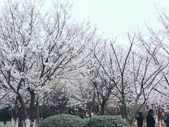 -江南大学(蠡湖校区)