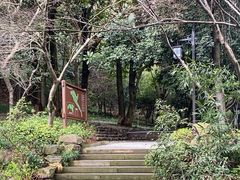 -东明山森林公园