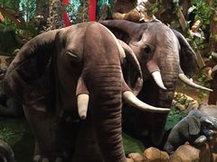 -济州岛泰迪熊博物馆