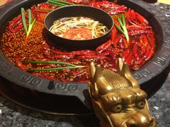 -蜀大侠火锅(建设路第五大道店)