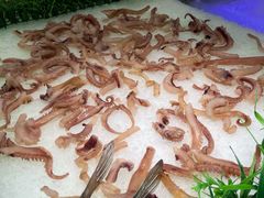 -鼎级香· 火锅烤肉自助丨涮烤一体(蜀山唯品会店)