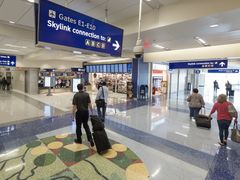 -达拉斯 沃斯堡国际机场