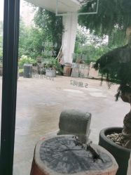 -罗亚帝·NASHOW纳秀形象设计