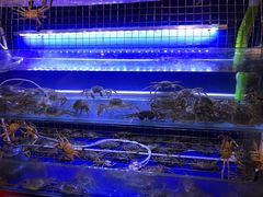 水产区-虎虎龙虾大排档(双井店)