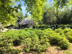 -洛阳市隋唐城遗址植物园