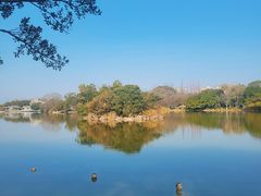 -江心屿景区