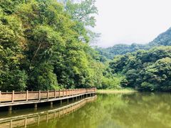 景点-青城山