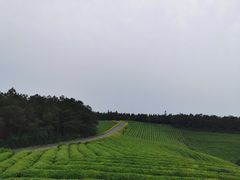 -游子山休闲旅游区