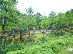 -梦幻奥陶纪景区