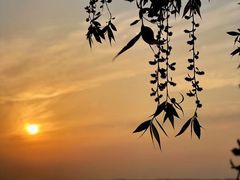 -湖南东洞庭湖国家级自然保护区