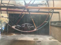 -石家庄市动物园