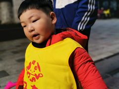 -好奇星国际托育(金地自在城校区)