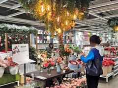 -宜家·瑞典风味餐厅(北京西红门店)