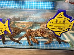 -韩记海鲜饺子旗舰店(红海新区店)