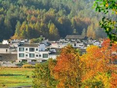 -塔川景区