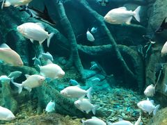 -波塞冬旅游度假区