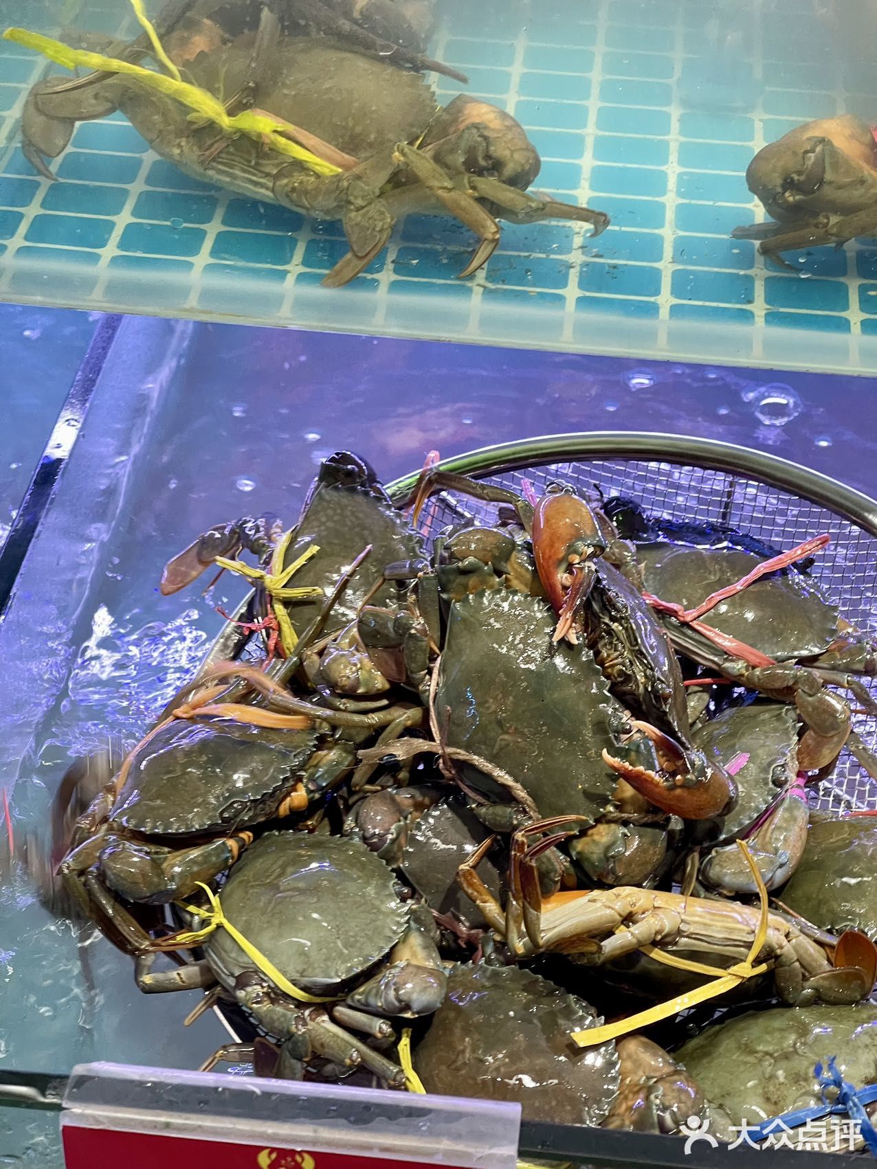 簋街不只有小龙虾🦀还有好吃的香辣蟹。