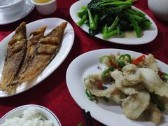 -蛇口康乐快餐鱼仔档(翠苑小区店)