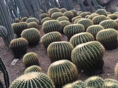-南山植物园