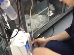 -爱侣宠医·鹦鹉专科·小型哺乳类·异宠专科(灵石路店)