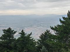 -大同王府至尊酒店