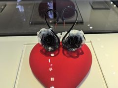 -BLACKSWAN黑天鹅(环球店)