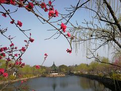 -无锡蠡湖国家湿地公园-蠡园