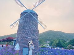 -玫瑰海岸文化旅游度假区