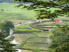 -靖西鹅泉风景区