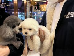 -FAELING PETS美天灵宠物(富力广场店)