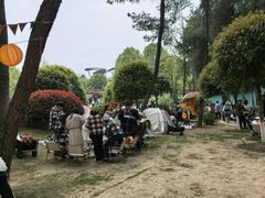 -铁山坪森林公园