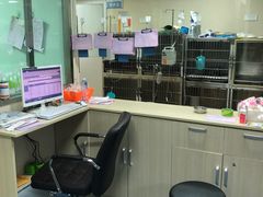 -A猫a狗全科·犬猫异宠·芥西宠物医院(南开总院)