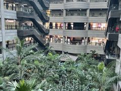 门急诊-黑龙江中医药大学附属第一医院