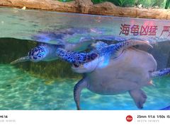 -石家庄海洋公园