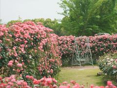 -嘉北郊野公园