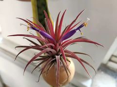 -华联商厦(火车站店)