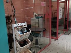 -FAELING PETS美天灵宠物(合生汇店)