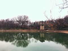 -紫霞湖公园