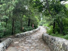 -阳台山自然风景区