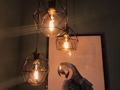 -宜家家居(哈尔滨商场店)