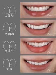 -薇薇安花系SPA