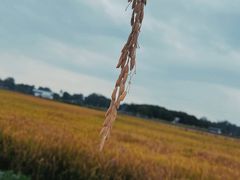 -中国天府农业博览园