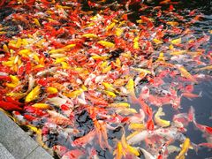-番禺宾馆丽苑厅